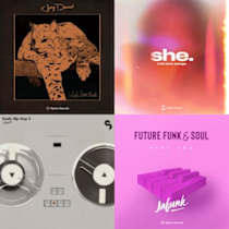 DaM-FunK's Collection