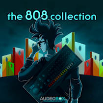 the 808 collection