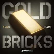 Yvng Face: Gold Bricks