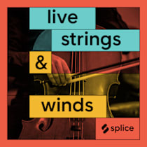 Live Strings & Winds