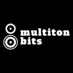 Multiton Bits