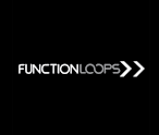Function Loops
