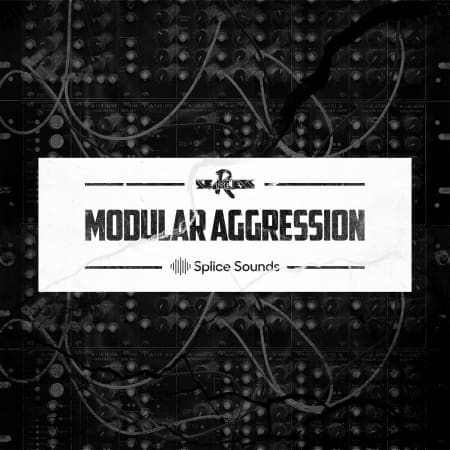 SeamlessR - Modular Aggression