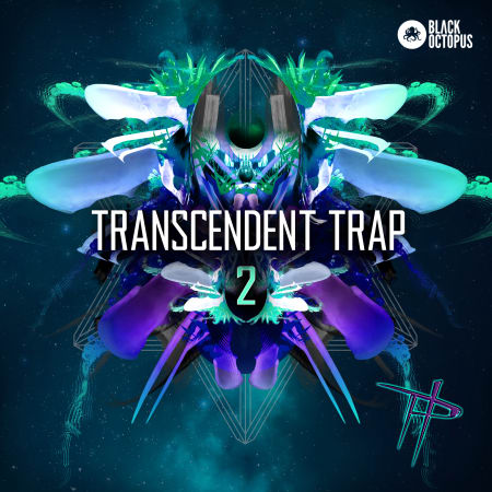 Transcendent Trap 2 by Paradigm Theorem