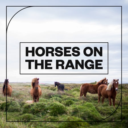 Horses on the Range
