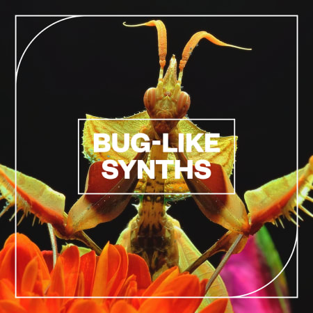 Bug-Like Synths