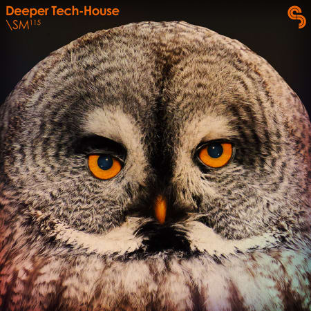 Deeper Tech-House