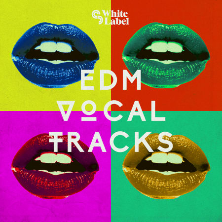 EDM Vocal Tracks