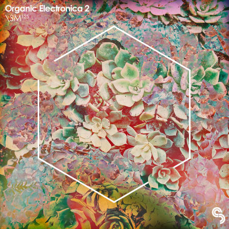 Organic Electronica 2