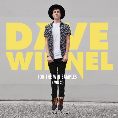 Dave Winnel - For The Win Vol. 2