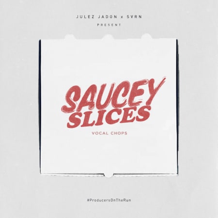 Saucey Slices Vocal Chops Samples Loops Splice Sounds