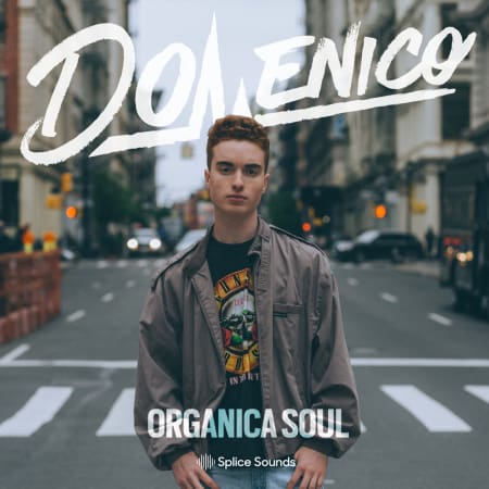 DOMENICO: Organica Soul