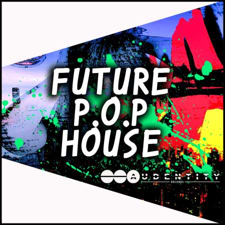 Future P.O.P House