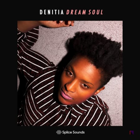 Denitia: Dream Soul Vocal Sample Pack