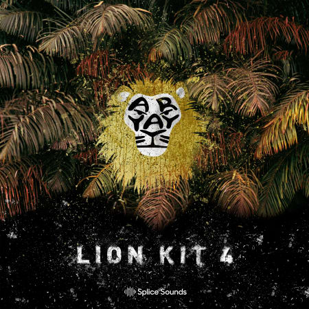 Aryay Lion Kit 4