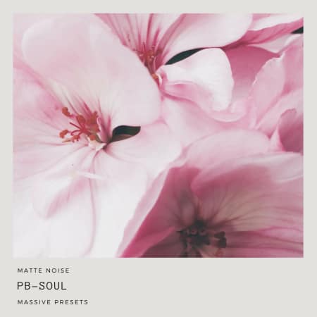 Matte Noise - Pb-Soul Massive