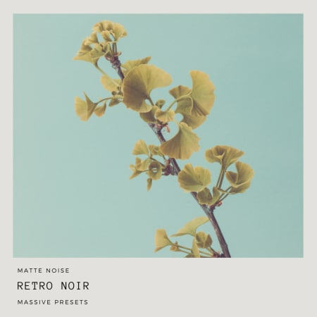 Matte Noise - Retro Noir