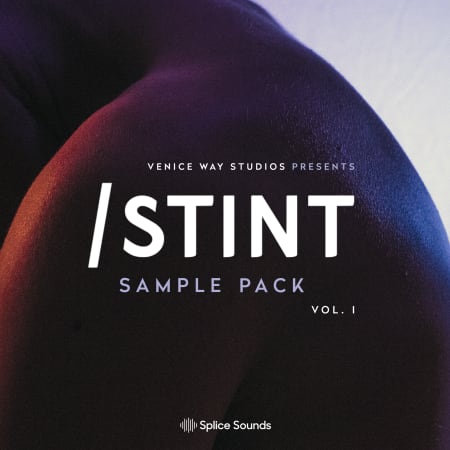 Venice Way Studios Presents STINT Sample Pack