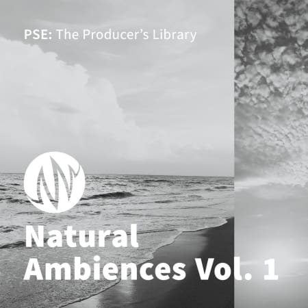 Natural Ambiences - Vol. 1