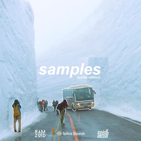 Ramzoid samples [winter edition]