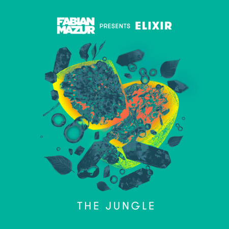 Fabian Mazur - The Jungle