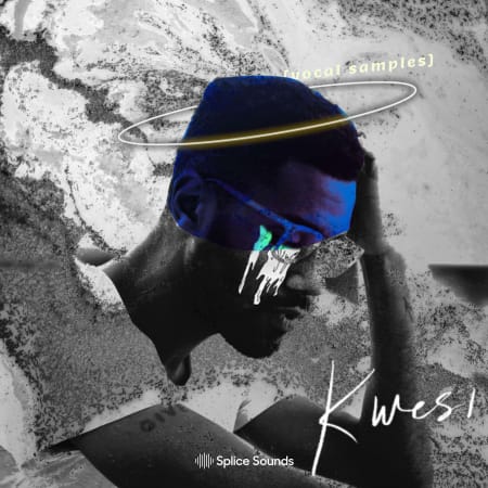 Kwesi's Vocal Samples