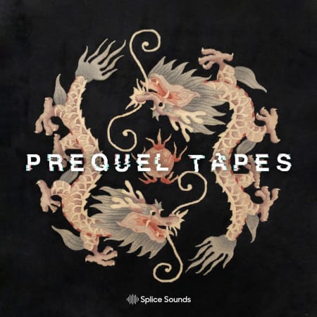 Splice Sounds from the Dragon Room by Prequel Tapes WAV-FLARE