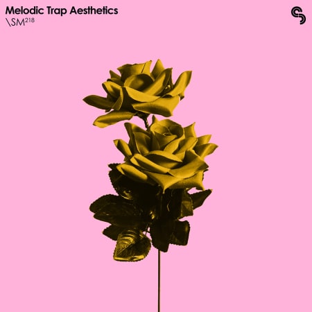 Sample Magic Melodic Trap Aesthetics MULTiFORMAT-FLARE