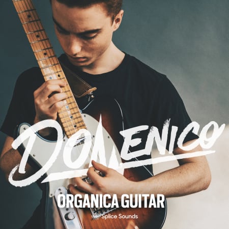 DOMENICO: Organica Guitar