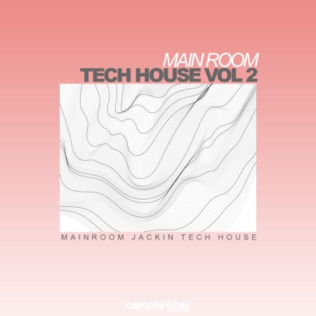 Main Room Tech House Vol 2