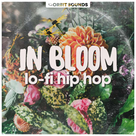 In Bloom - Lofi Hip Hop