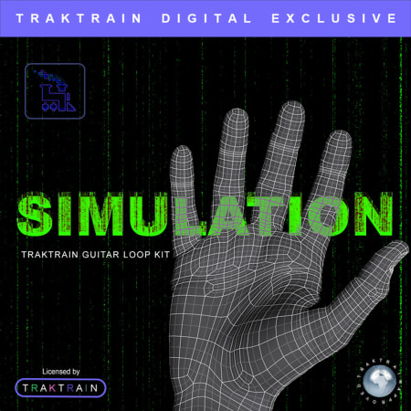 Simulation