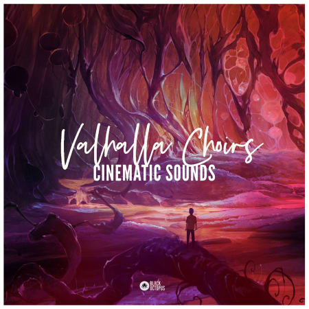 Cinematic Sounds - Valhalla Choirs