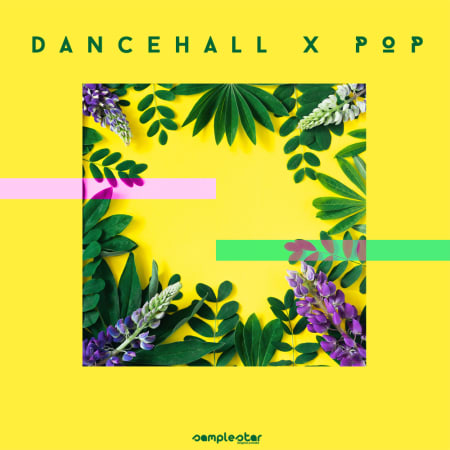 Samplestar Dancehall x Pop WAV-FLARE