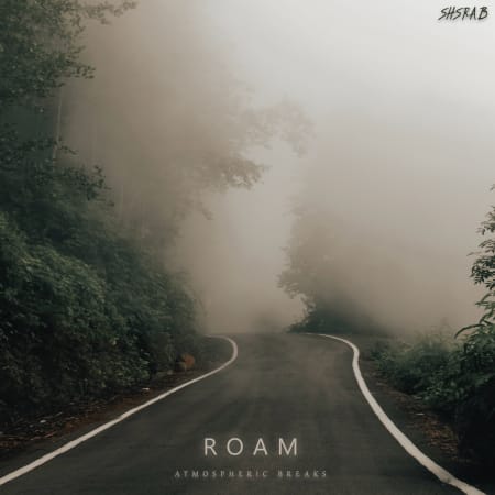 Roam: Atmospheric Breaks