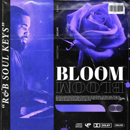 BLOOM: R&B Soul Keys
