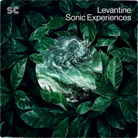 Sonic Collective Levantine Sonic Experiences WAV-FLARE