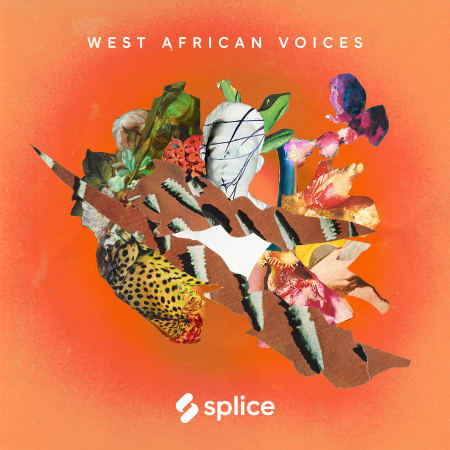 Splice Sessions West African Voices WAV-FLARE