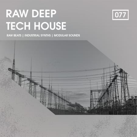 Bingoshakerz Raw Deep Tech House WAV