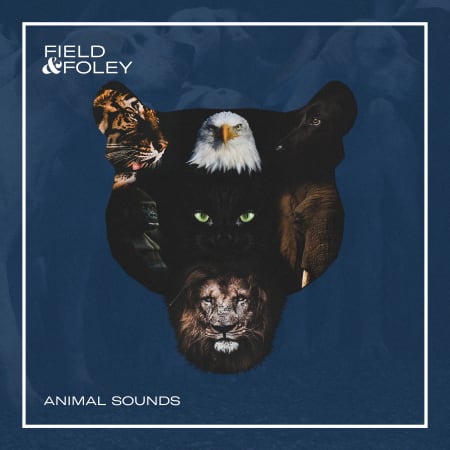 Field & Foley - Animal Sounds - Samples & Loops - Splice