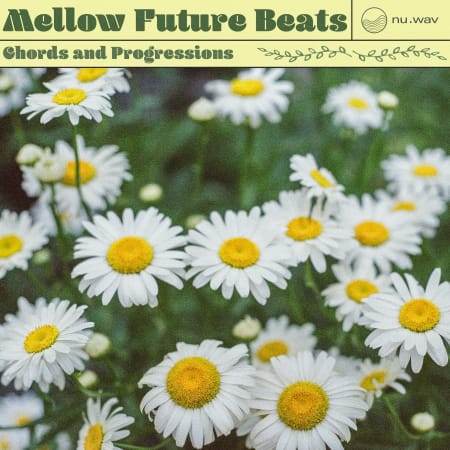 Mellow Future Beats - Chords and Progressions