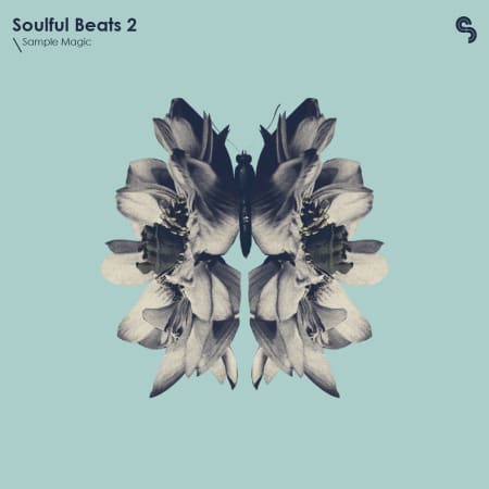 Soulful Beats 2