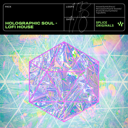 Holographic Soul: Lofi House
