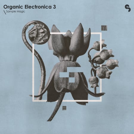 Organic Electronica 3