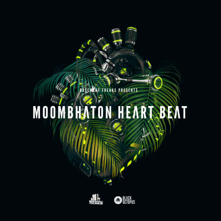Moombahton Heart Beat By Basement Freaks