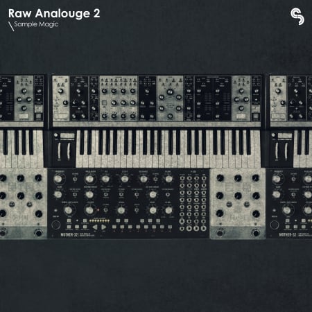 Raw Analogue Techno