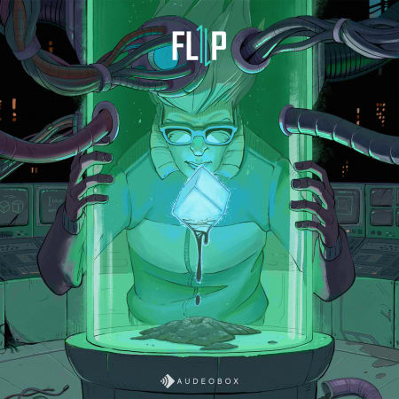 Flip - Trap Reformed