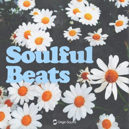 Soulful Beats