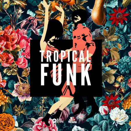 Tropical Funk by Basement Freaks