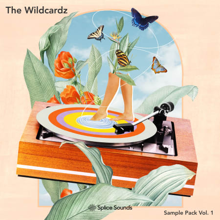 The Wildcardz Sample Pack Vol. 1: Pop Samples | Splice